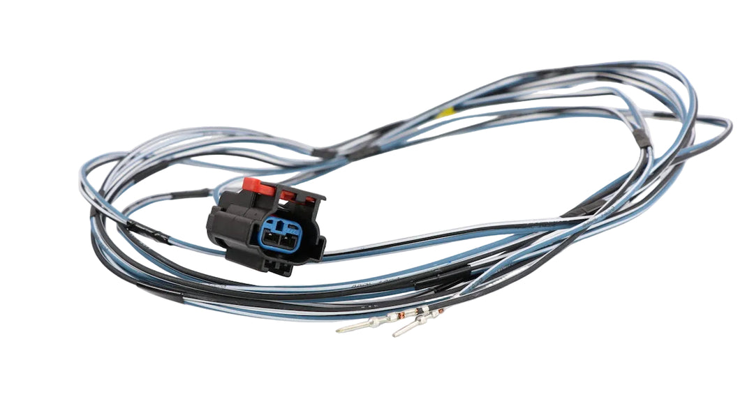 Advance Truck Parts USA W091431 2-pin pigtail connector showing a clean studio perspective of the black connector housing, locking tab, and wire harness