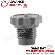 Load image into Gallery viewer, Advance Truck Parts W072130 1/8&quot; NPT Exhaust Vent for Air Solenoid Valve